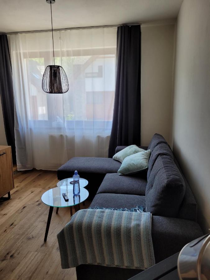 Artur Apartment Myto Mýto pod Ďumbierom المظهر الخارجي الصورة
